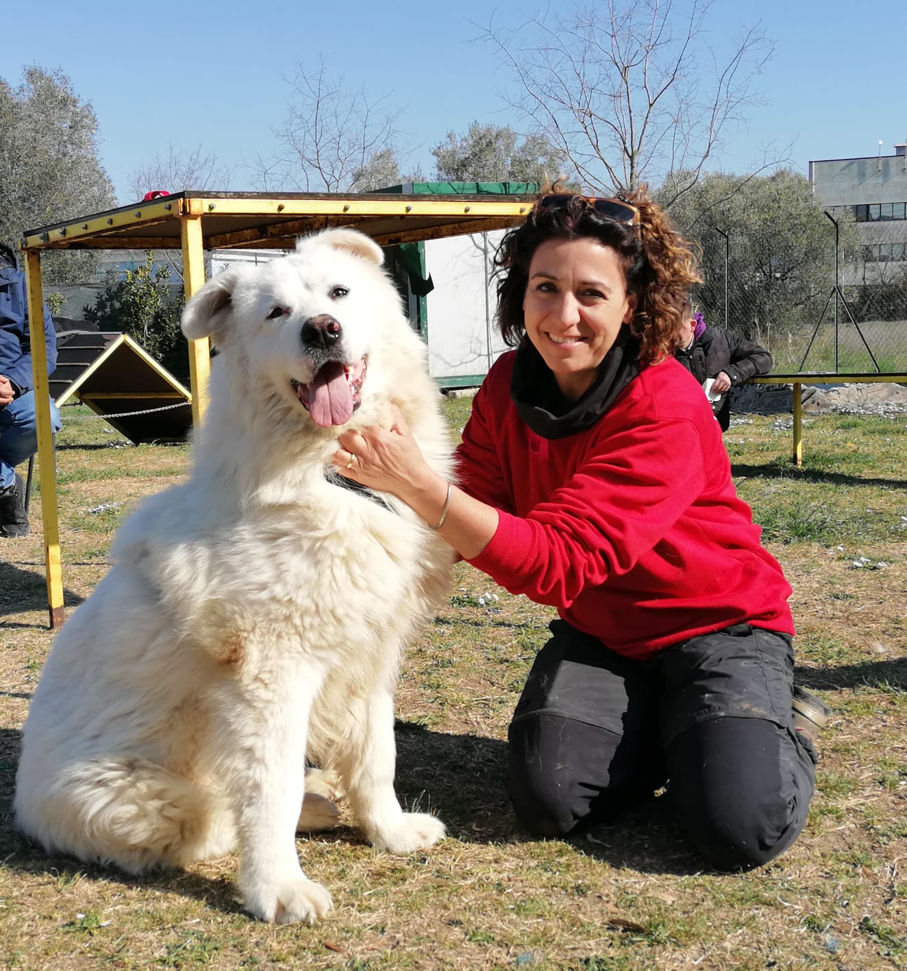 granatelli elisa veterinaria esperta in comportamento e istrutrtore riabilitatore